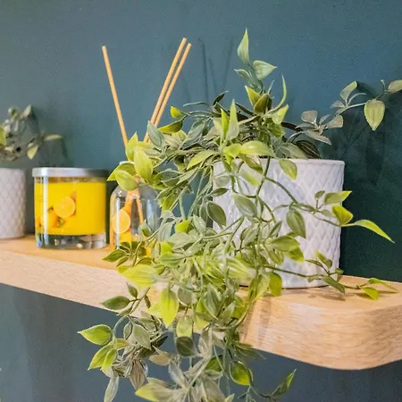 Casa de Férias The Large Group House -sleeps 21 Dublin