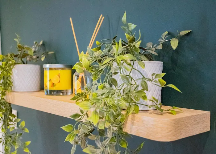 Tatil Evi The Large Group House Dublin